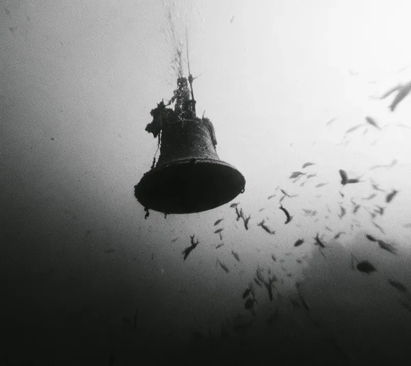 Raw Bw Fisheye Documentaries