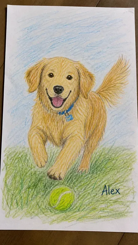 Imperfect Colored Drawing Photos
