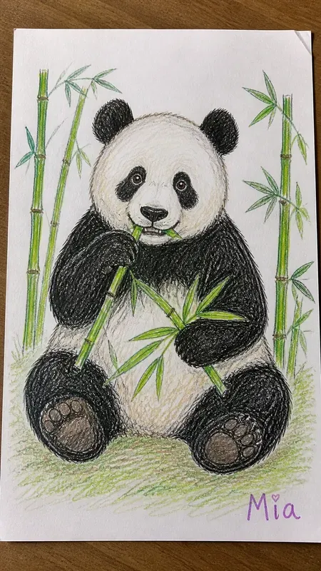Imperfect Colored Drawing Photos