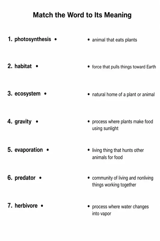 Word Matching Worksheet Generator
