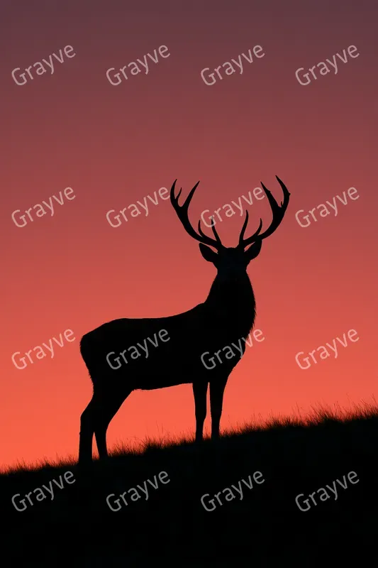 Backlit Silhouettes