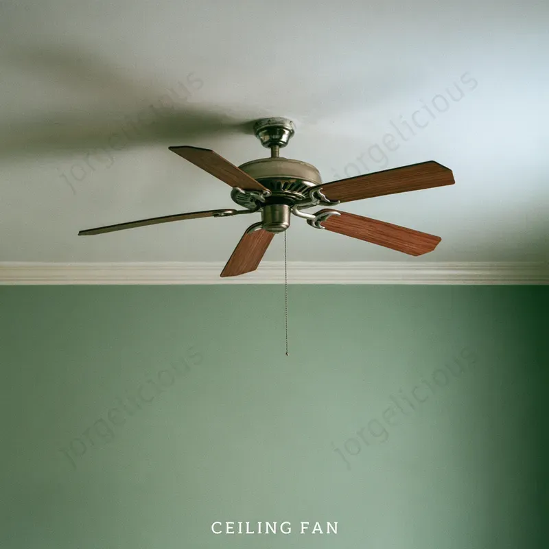 Everyday Color Photo Covers