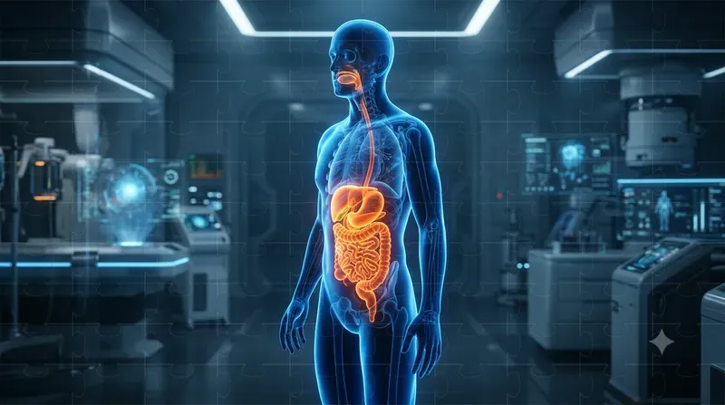 Glowing Human Anatomy Silhouettes