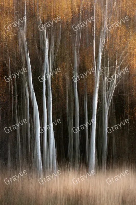 Icm Photography