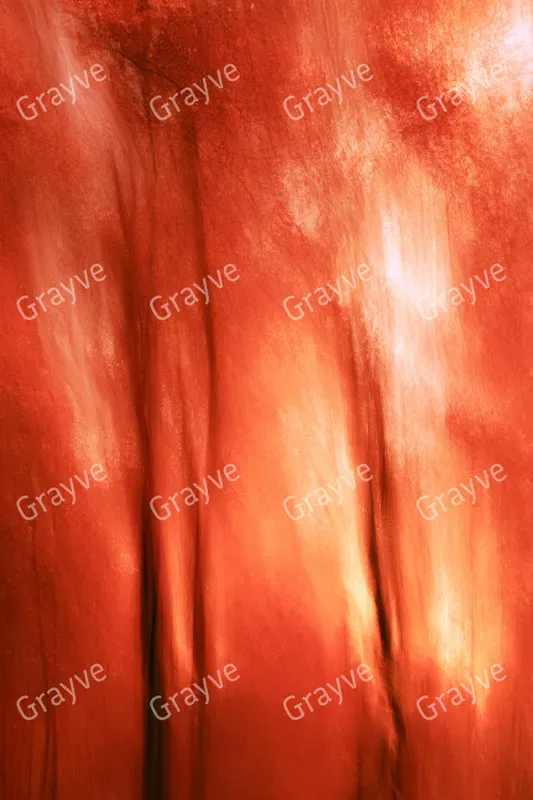 Icm Photography