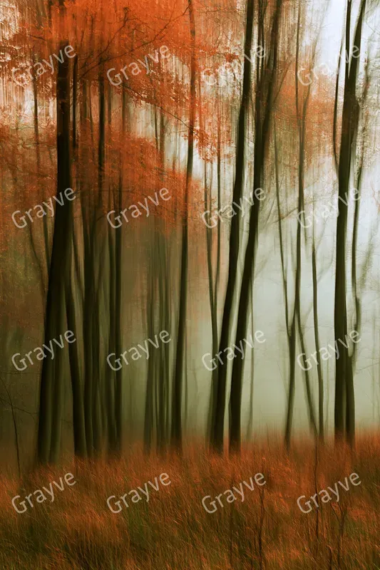 Icm Photography