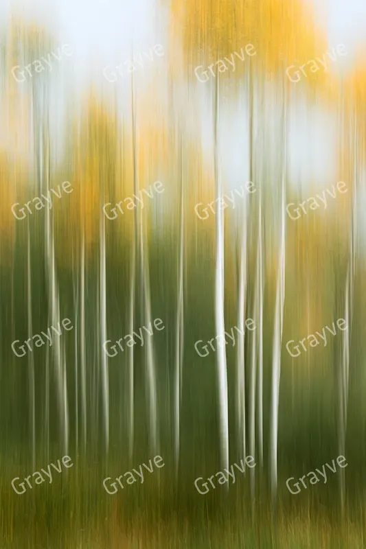 Icm Photography