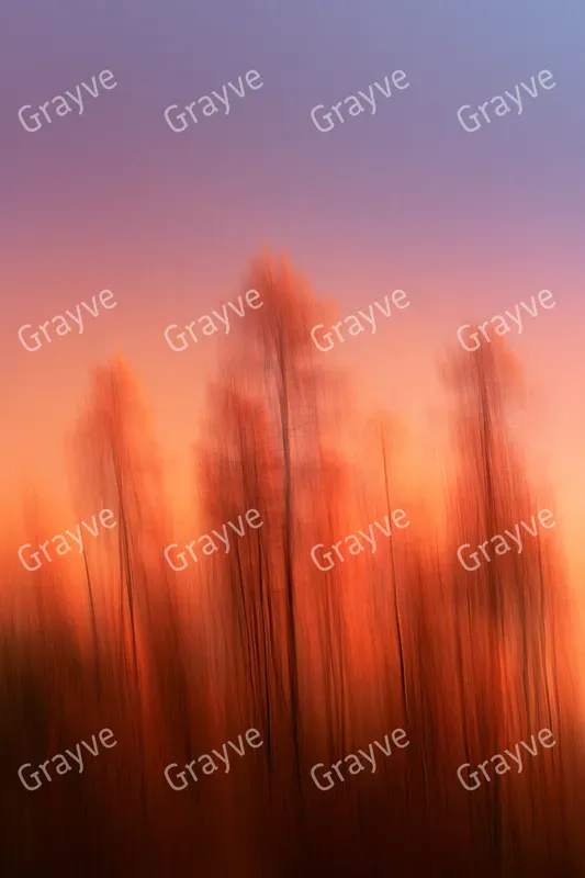 Icm Photography