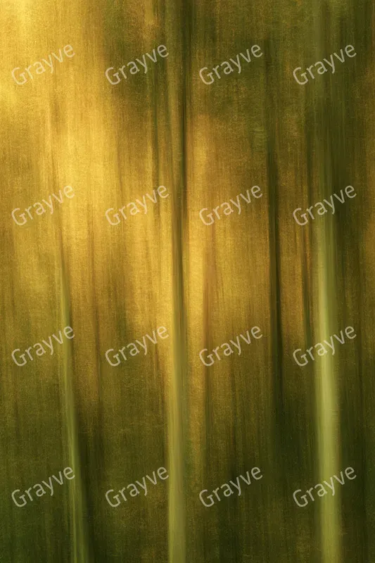 Icm Photography