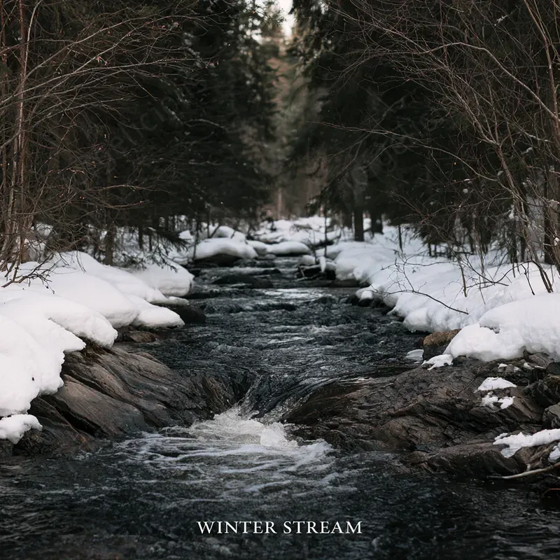 Nordic Wilderness Photo Covers