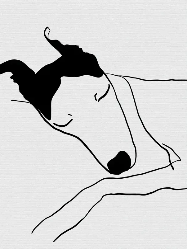 Black Ink Line Art Prints