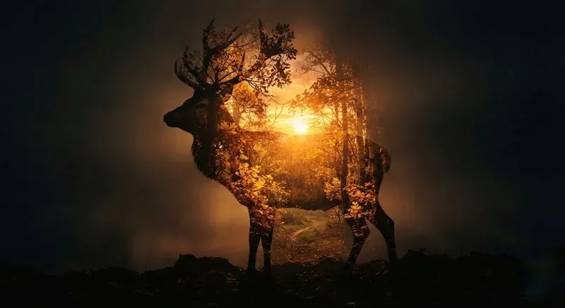 Cinematic Double Exposure Portraits