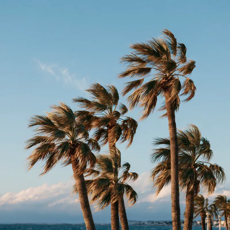 French Promenade Travel Photography
