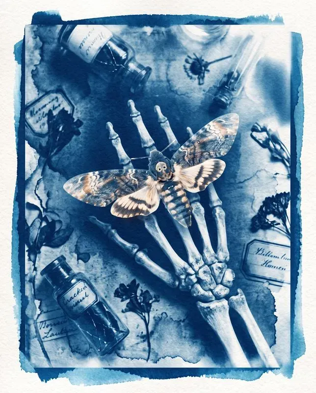 Distressed Blue Cyanotype Dreams