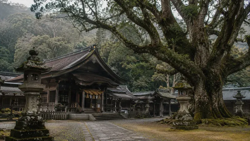 Japan Mood Shrines Temples