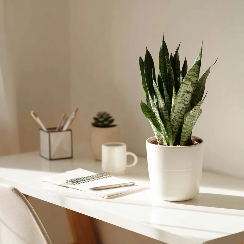 Minimalist Workspace Productivity Vibes