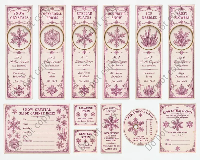 Microscope Slide Label Ephemera