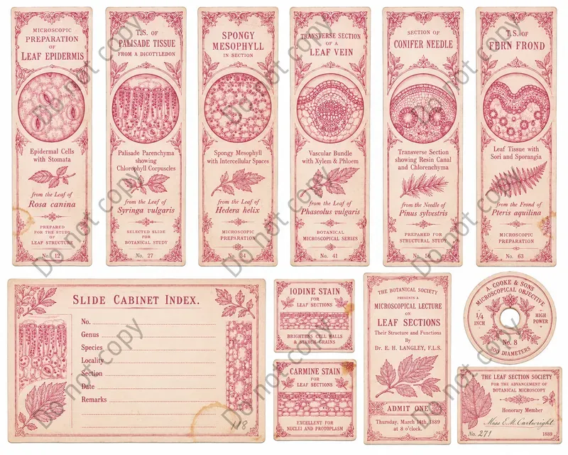 Microscope Slide Label Ephemera