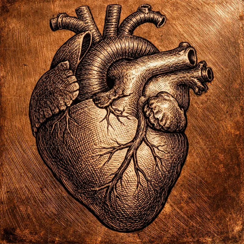 Renaissance Intaglio Engravings