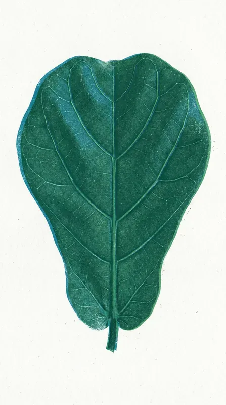 Risograph Botanical Prints