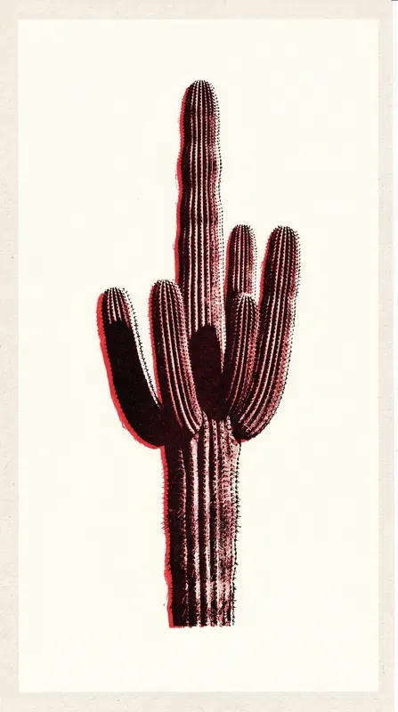 Risograph Botanical Prints