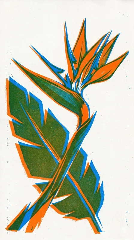 Risograph Botanical Prints