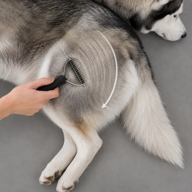Pet Grooming Contact Map Photos