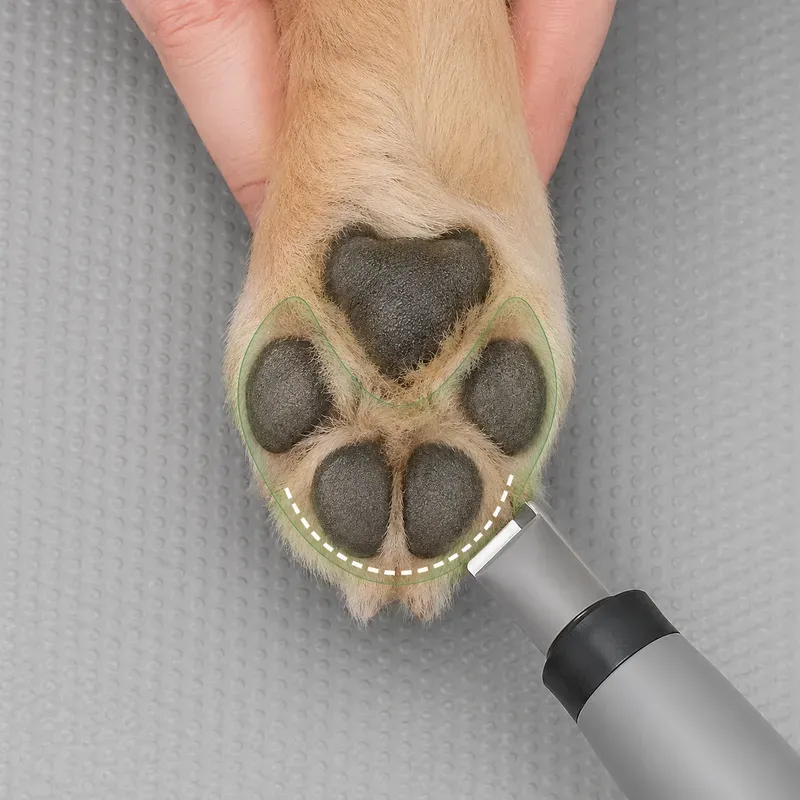 Pet Grooming Contact Map Photos