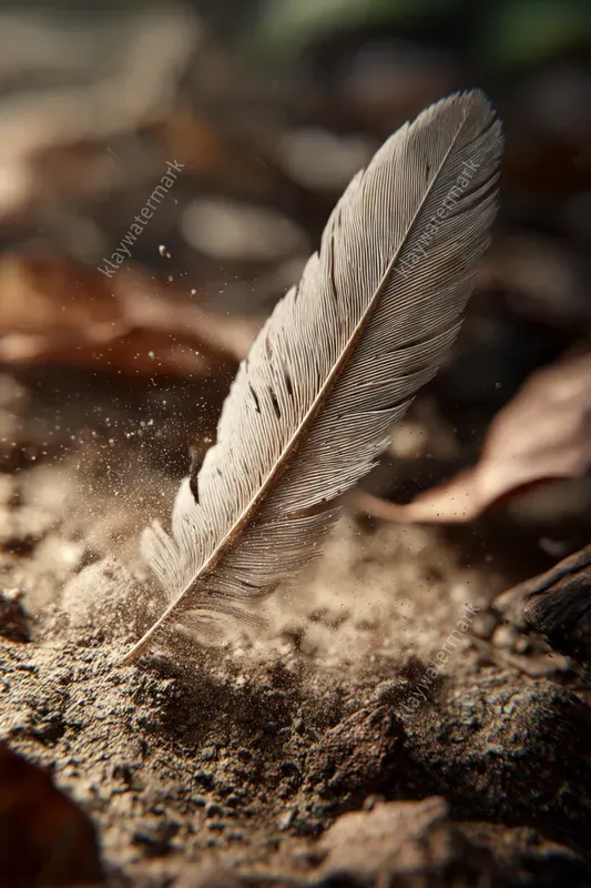 Macro Nature Wonders