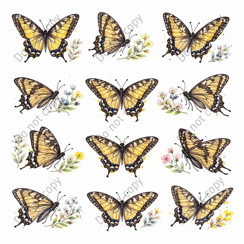 Watercolor Butterfly Insect Clipart