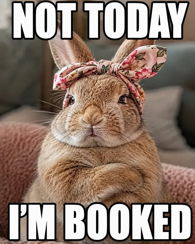 Viral Animal Meme Creators
