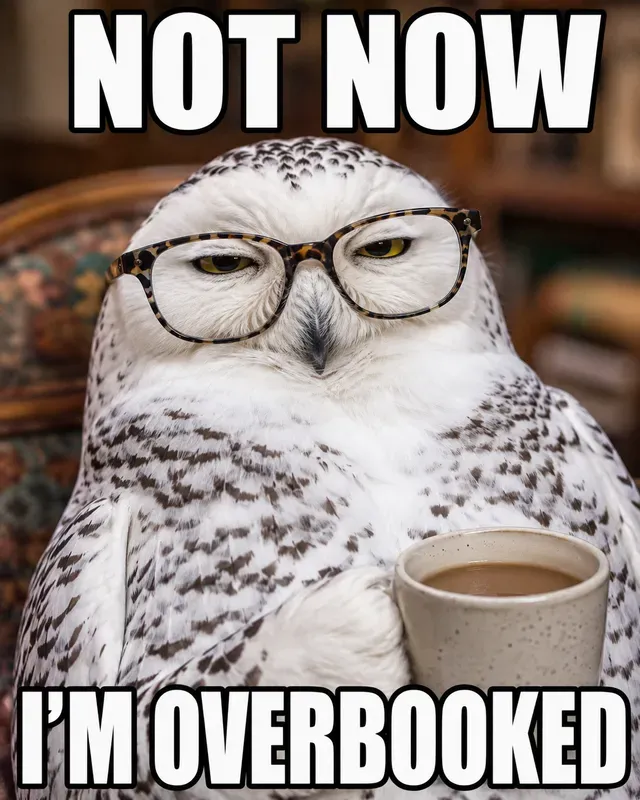Viral Animal Meme Creators