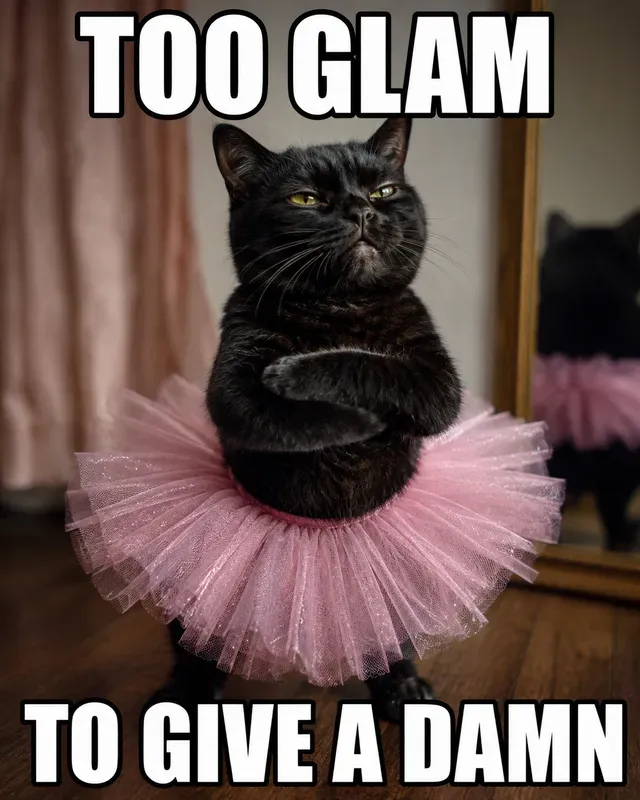 Viral Animal Meme Creators