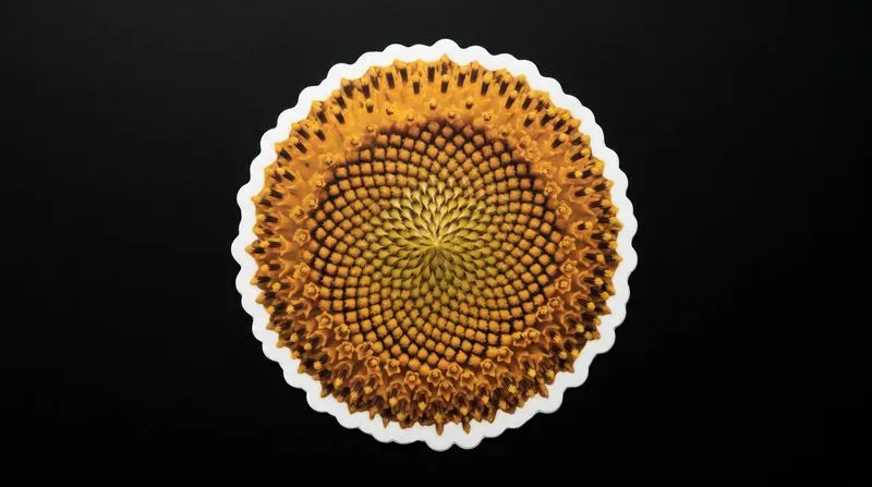 Ultradetailed Organic Macro Stickers