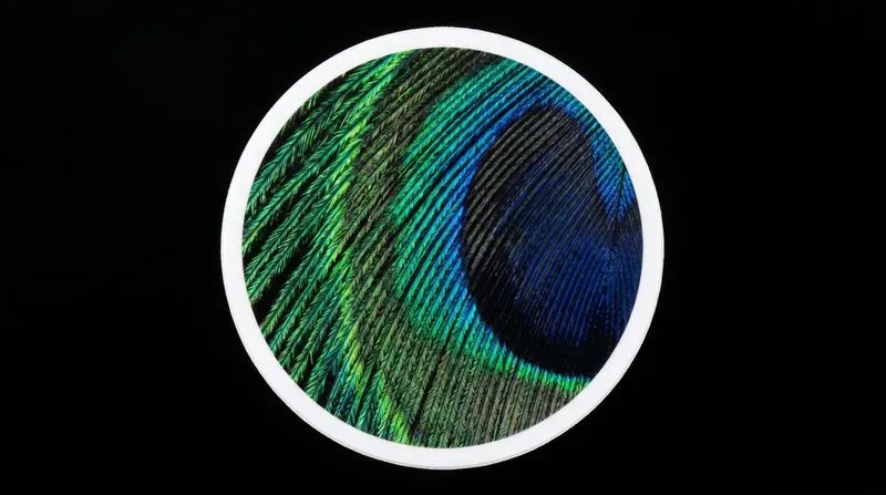 Ultradetailed Organic Macro Stickers