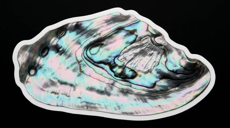 Ultradetailed Organic Macro Stickers