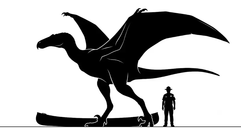 Creature Scale Silhouette Cards