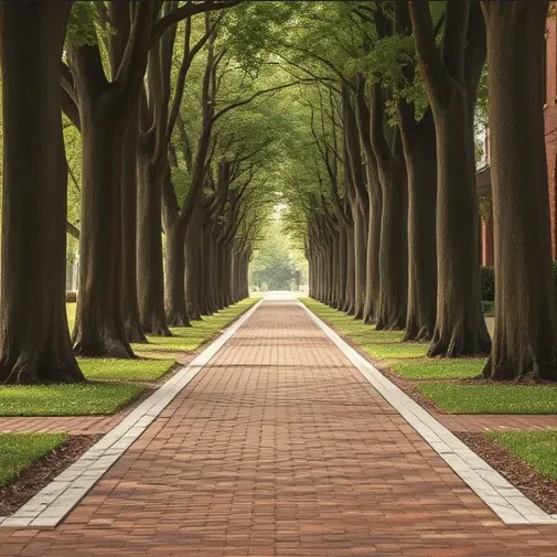 Scaping Paths