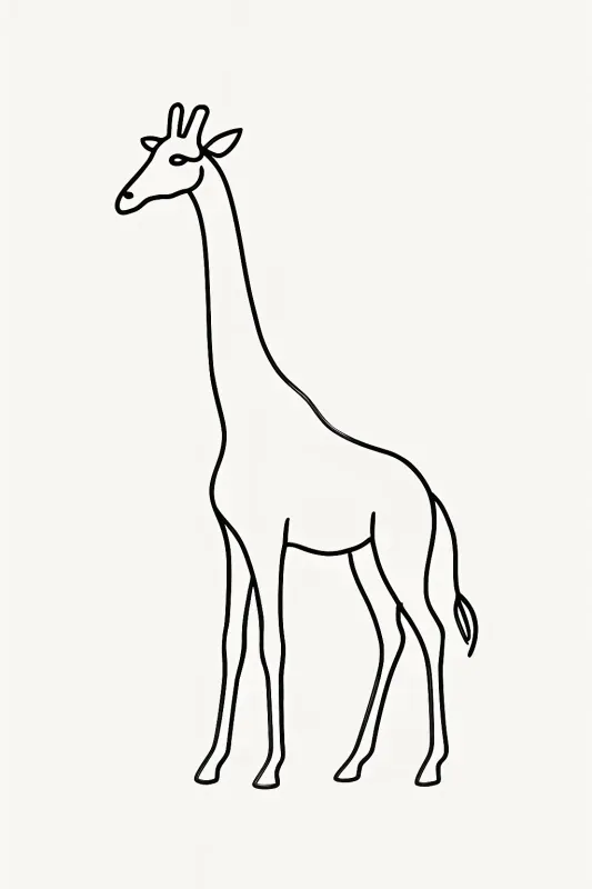 One Line Art Drawing Packs