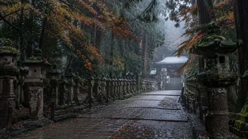 Japan Moods Rainy Japan