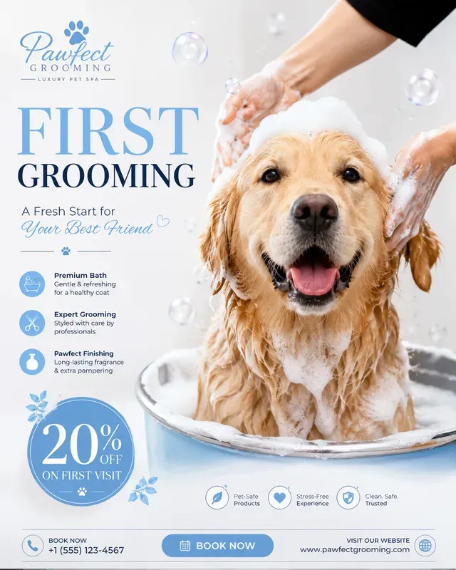 Pet Grooming Spa Ad Generator