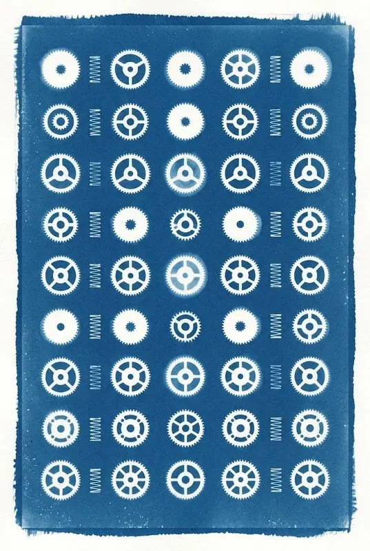 Cyanotype Sun Print Photogram Art