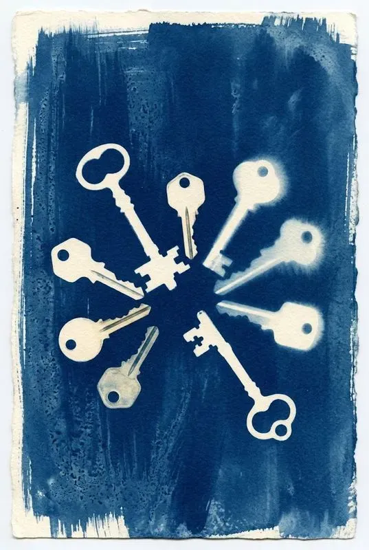 Cyanotype Sun Print Photogram Art