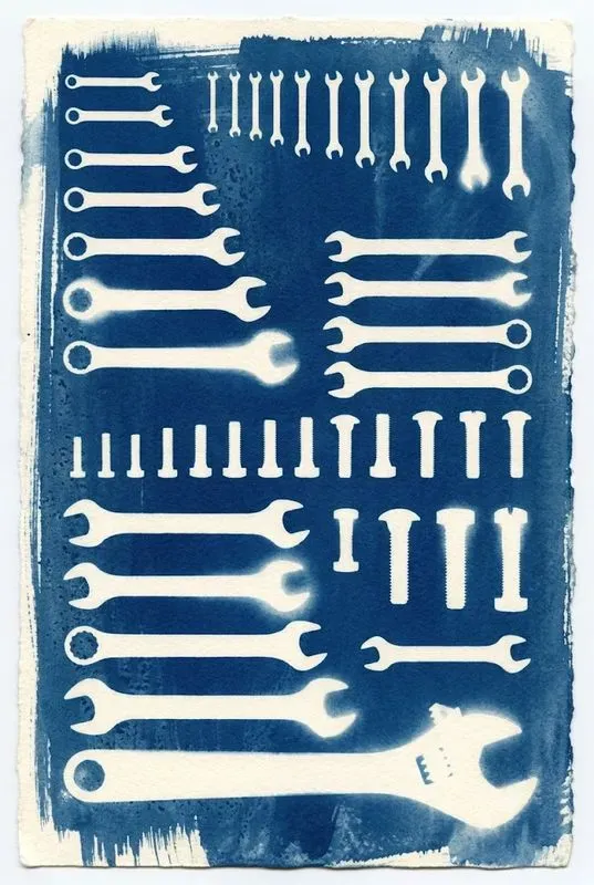 Cyanotype Sun Print Photogram Art