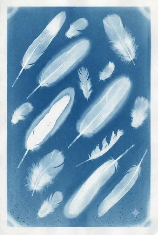 Cyanotype Sun Print Photogram Art