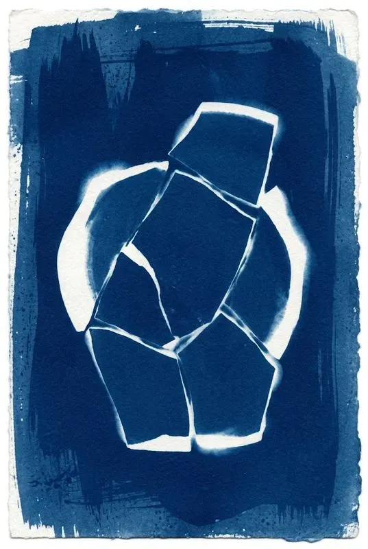 Cyanotype Sun Print Photogram Art