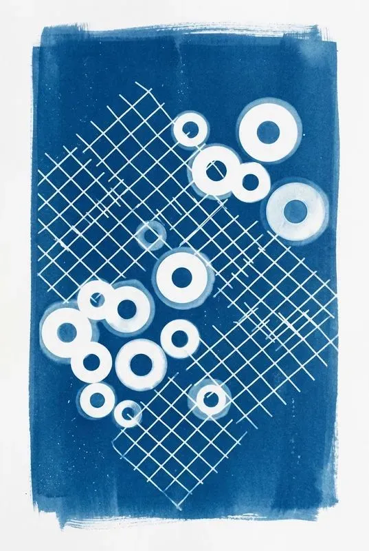 Cyanotype Sun Print Photogram Art