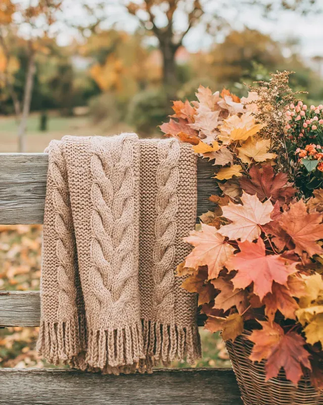 Faded Autumn Aesthetic Photos