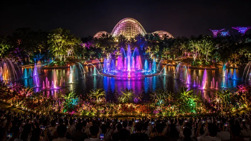 Aquatic Light Show Spectacles