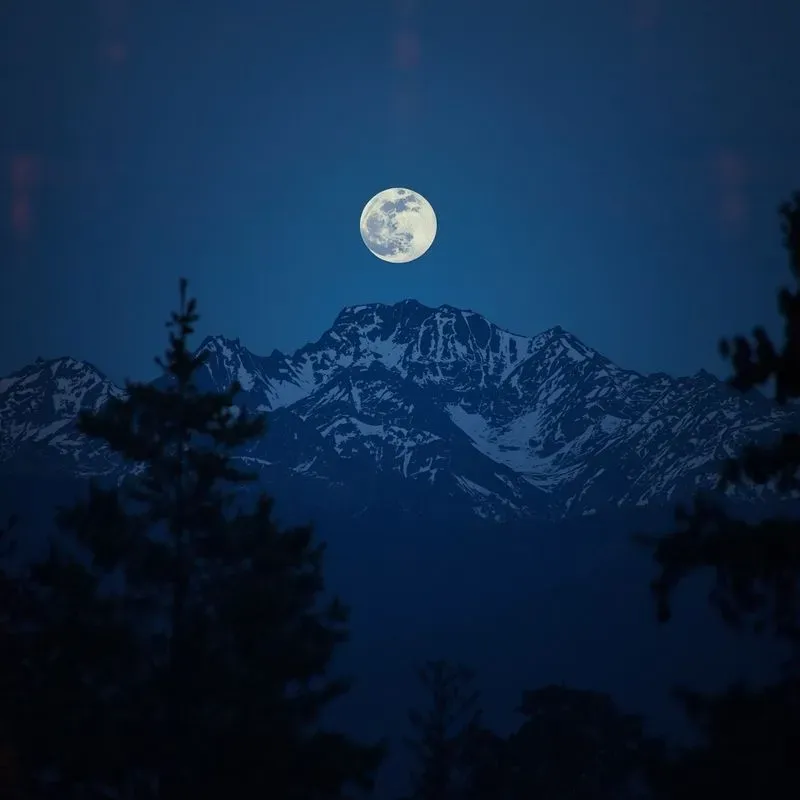Moonlight Photography